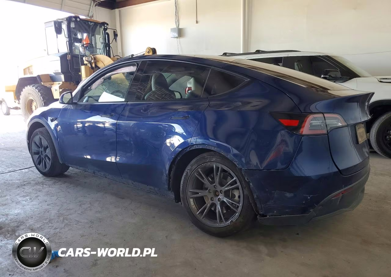 2025 Tesla Model Y VIN:7SAYGDED5SF253436 - 2