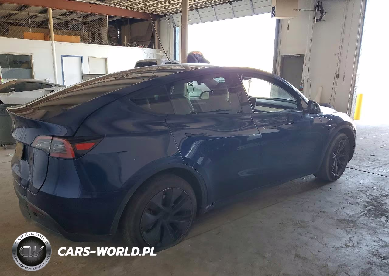 2025 Tesla Model Y VIN:7SAYGDED5SF253436 - 3