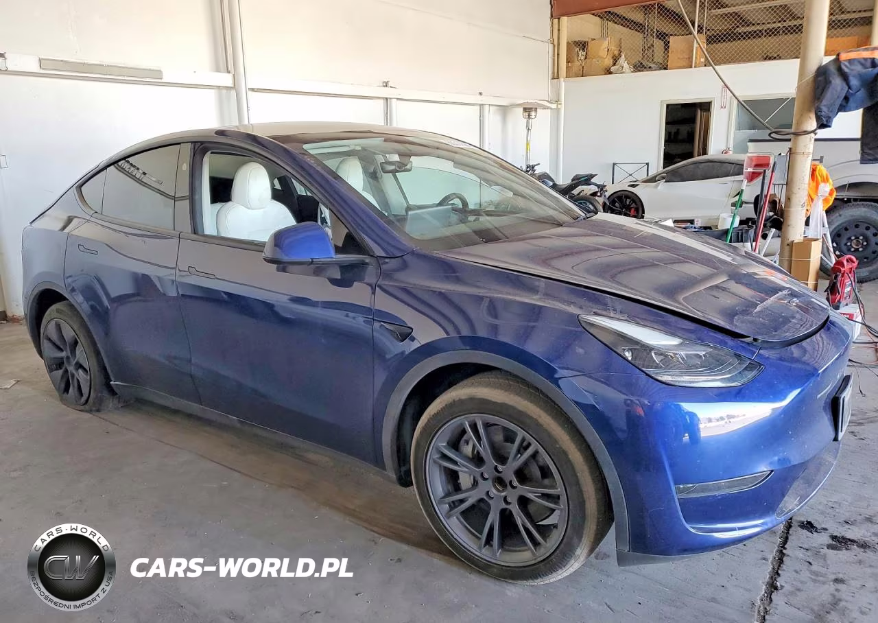 2025 Tesla Model Y VIN:7SAYGDED5SF253436 - 4