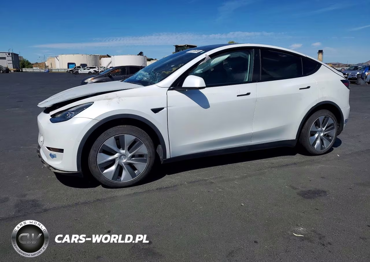 2020 Tesla Model Y