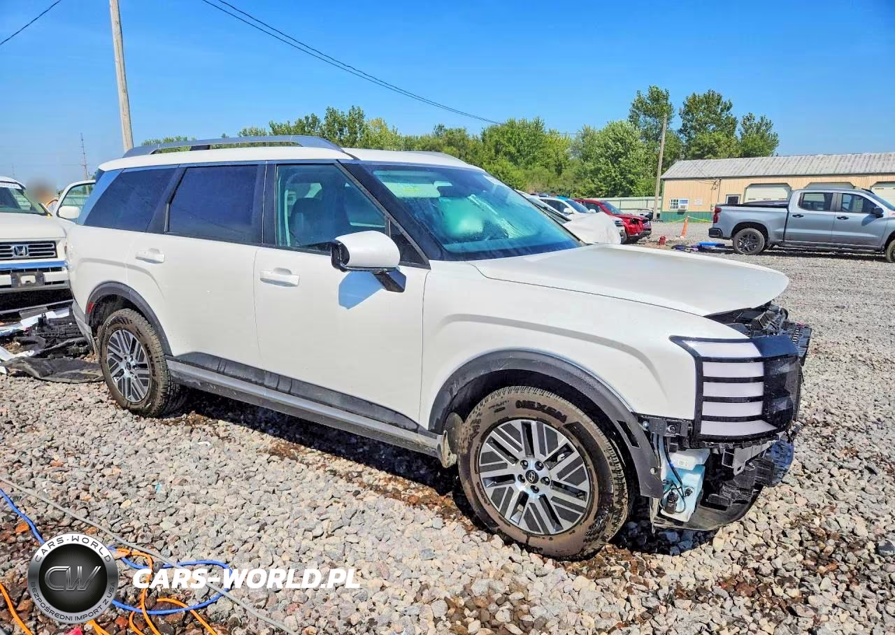 2026 Hyundai Palisade Sel Premium VIN:KM8RHESA6TU066032 - 4