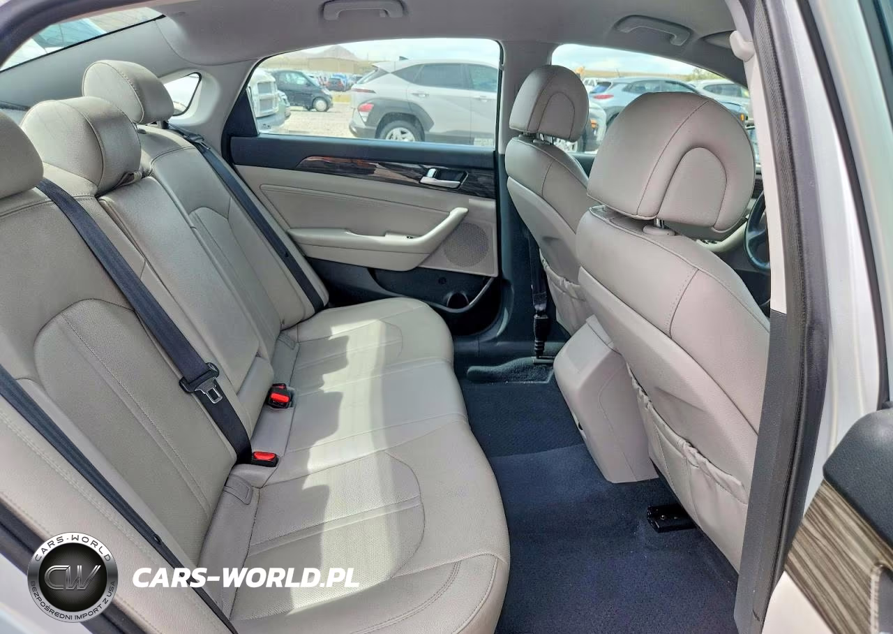 2015 Hyundai Sonata Eco VIN:5NPE24AA7FH195721 - 10