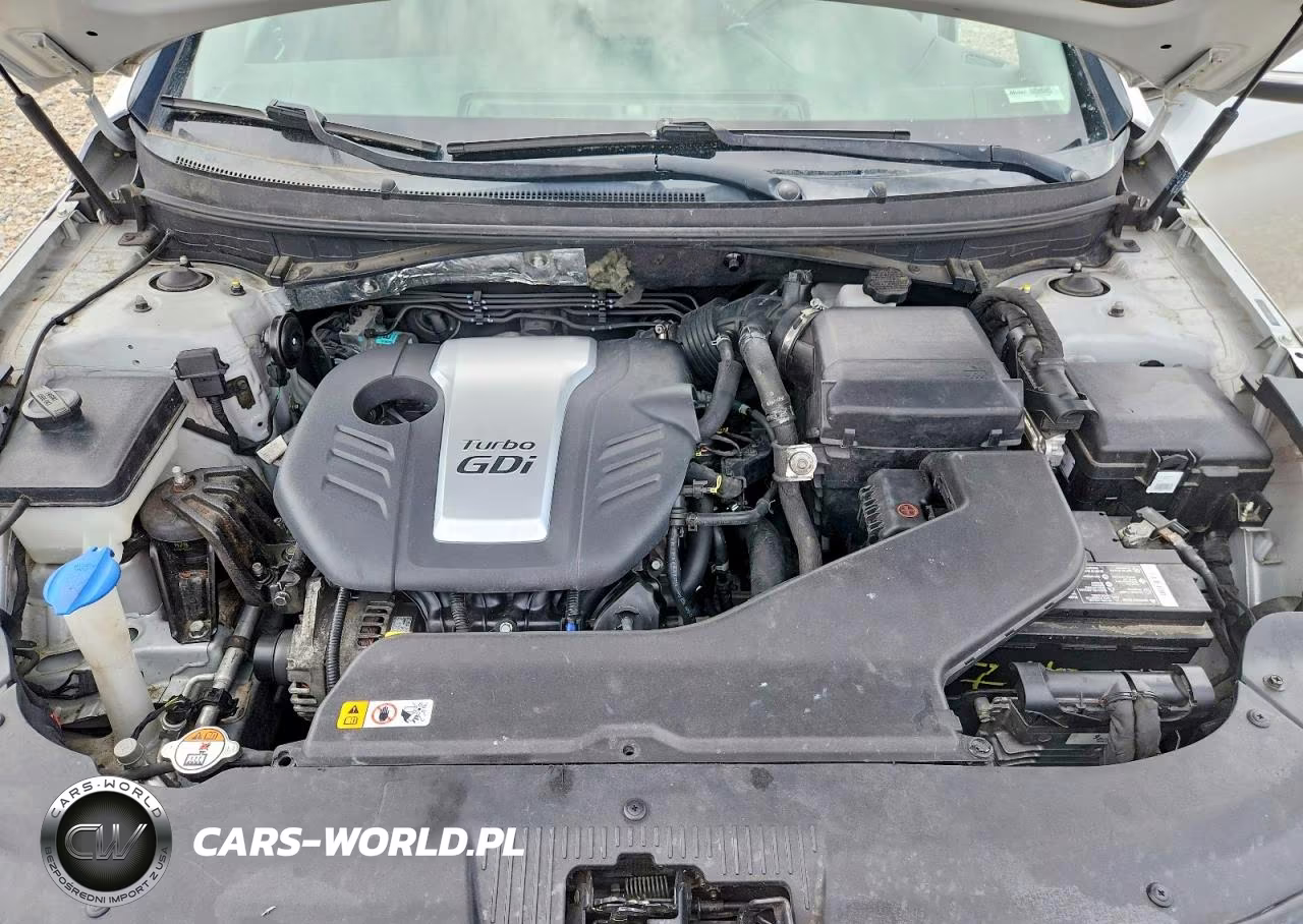 2015 Hyundai Sonata Eco VIN:5NPE24AA7FH195721 - 11
