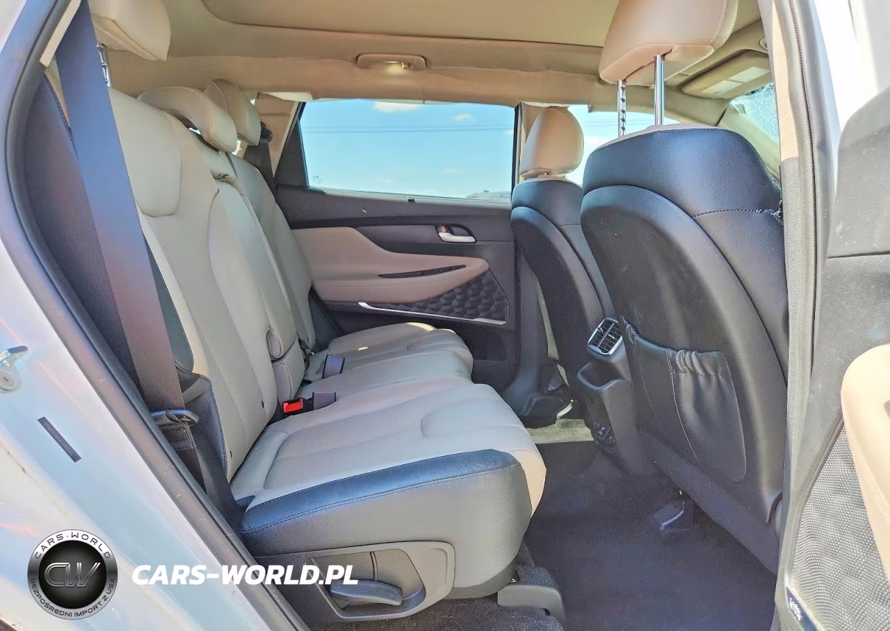 2020 Hyundai Santa Fe Limited 2.0T VIN:5NMS53AAXLH182555 - 11