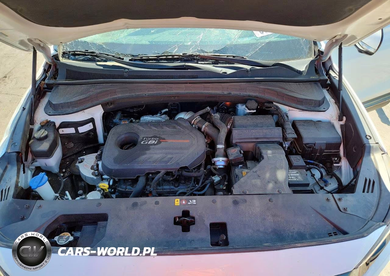 2020 Hyundai Santa Fe Limited 2.0T VIN:5NMS53AAXLH182555 - 12