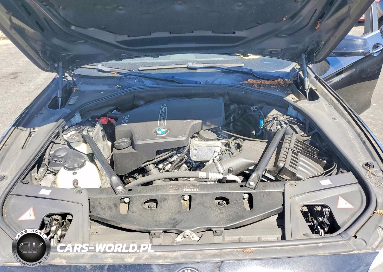 2012 BMW 528 I VIN:WBAXG5C59CDY28721 - 11