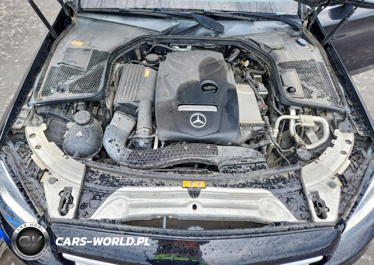 2016 Mercedes-Benz C 300 VIN:55SWF4JB0GU101355 - 11