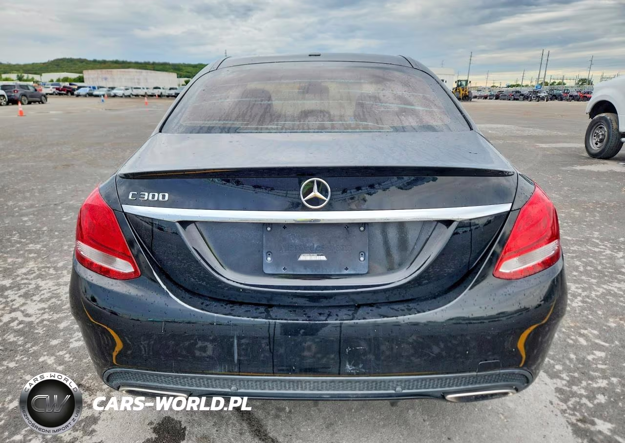 2016 Mercedes-Benz C 300 VIN:55SWF4JB0GU101355 - 6