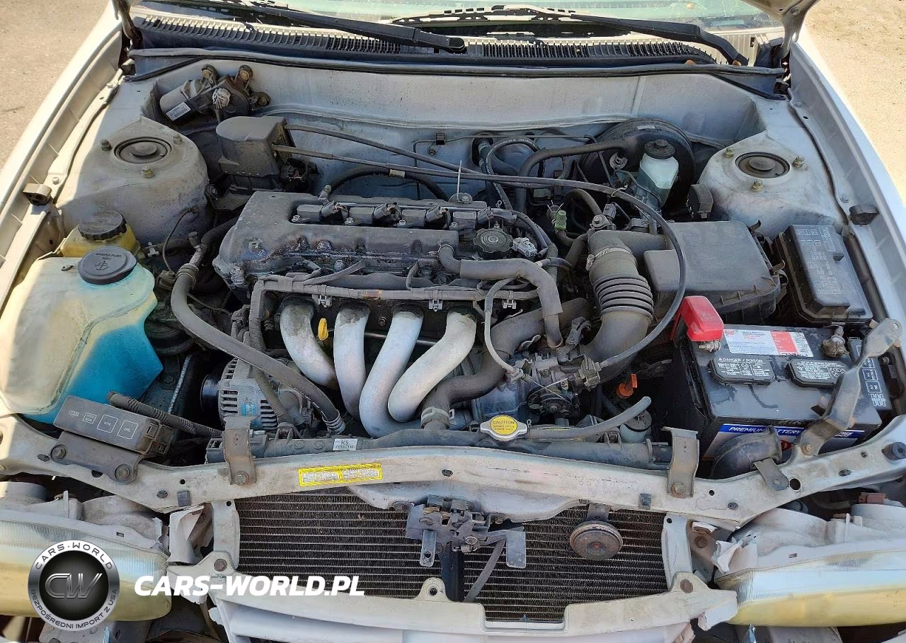 2001 Toyota Corolla S VIN:1NXBR12E01Z540323 - 11