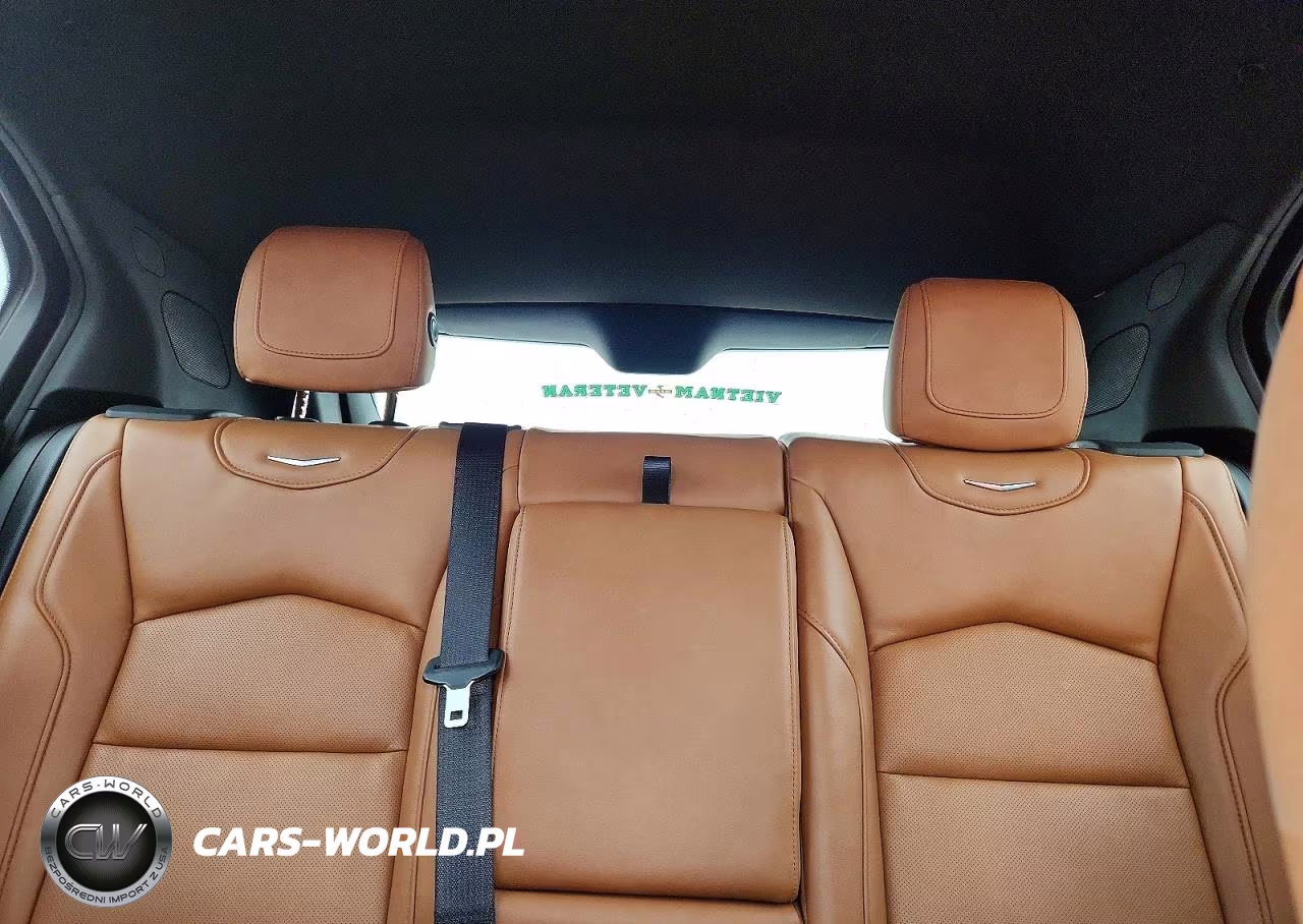 2019 Cadillac Xt4 Premium Luxury VIN:1GYFZCR46KF169991 - 10