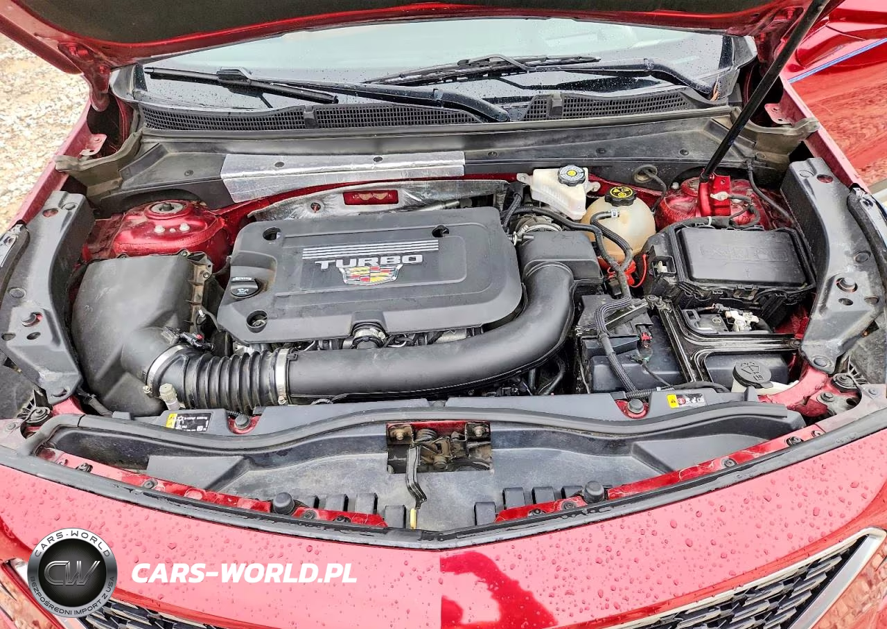 2019 Cadillac Xt4 Premium Luxury VIN:1GYFZCR46KF169991 - 12