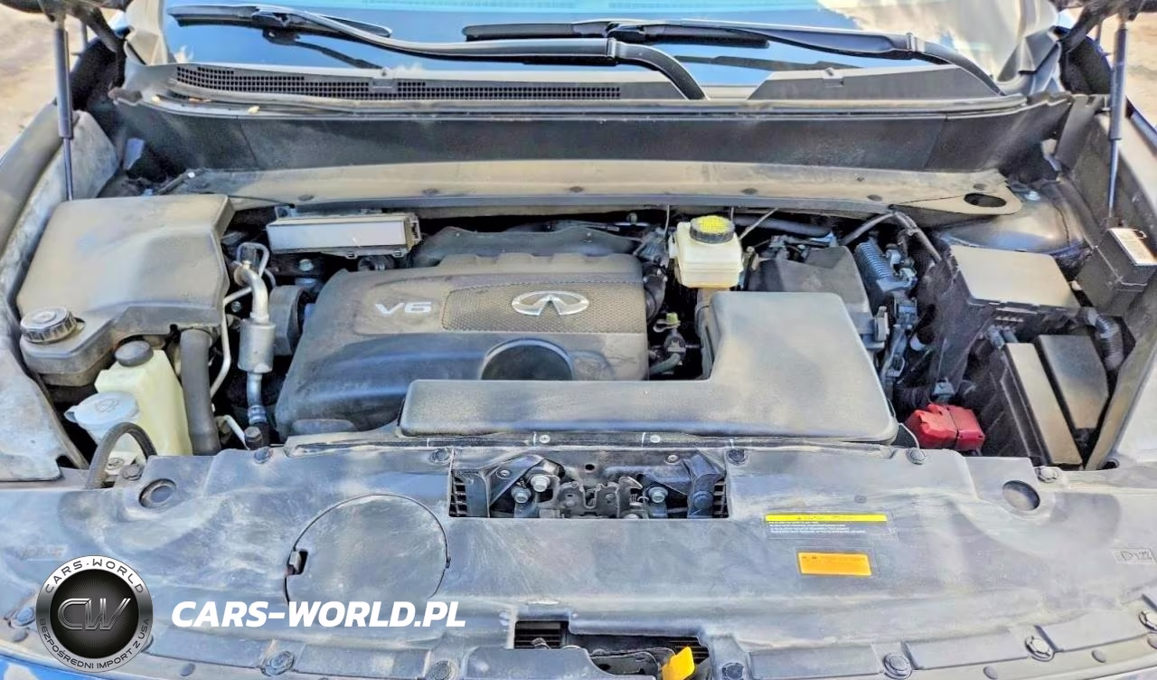 2019 Infiniti Qx60 Luxe VIN:5N1DL0MM8KC516450 - 12