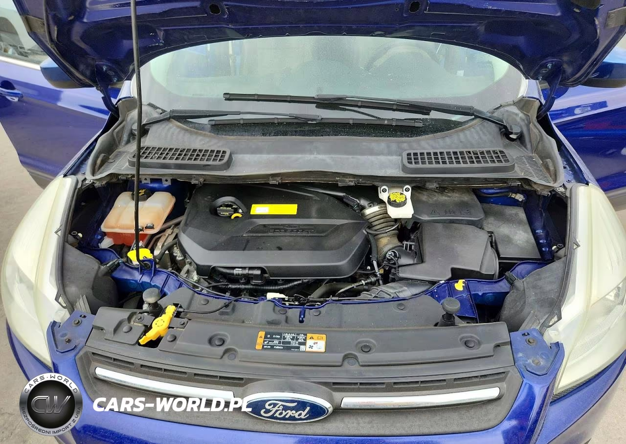 2015 Ford Escape Se VIN:1FMCU0GX6FUC24908 - 12