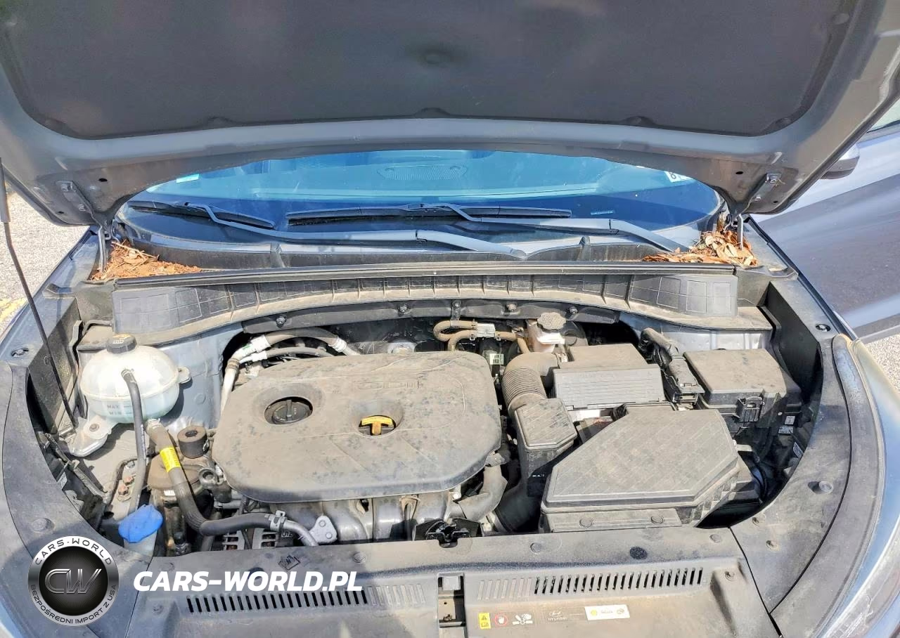 2019 Hyundai Tucson Value VIN:KM8J33A4XKU078288 - 12