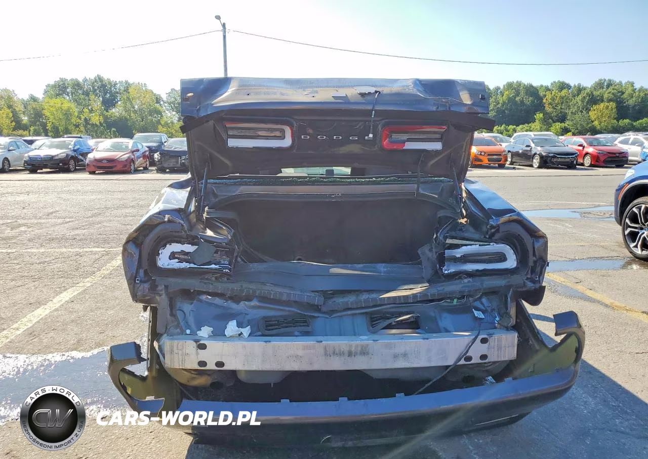 2020 Dodge Challenger Sxt VIN:2C3CDZAG8LH113569 - 6