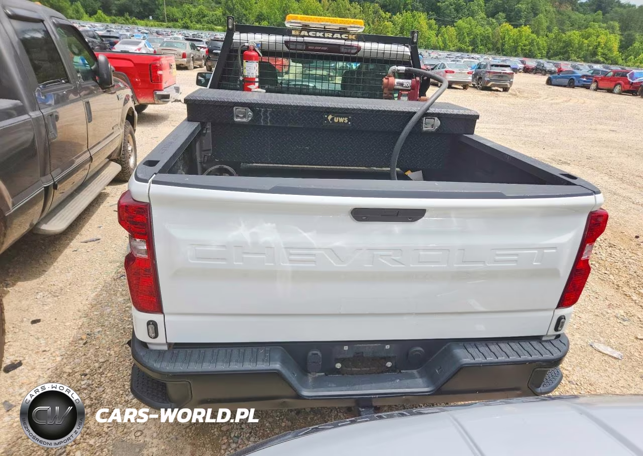 2020 Chevrolet Silverado K1500 VIN:1GCPYAEK5LZ198159 - 6
