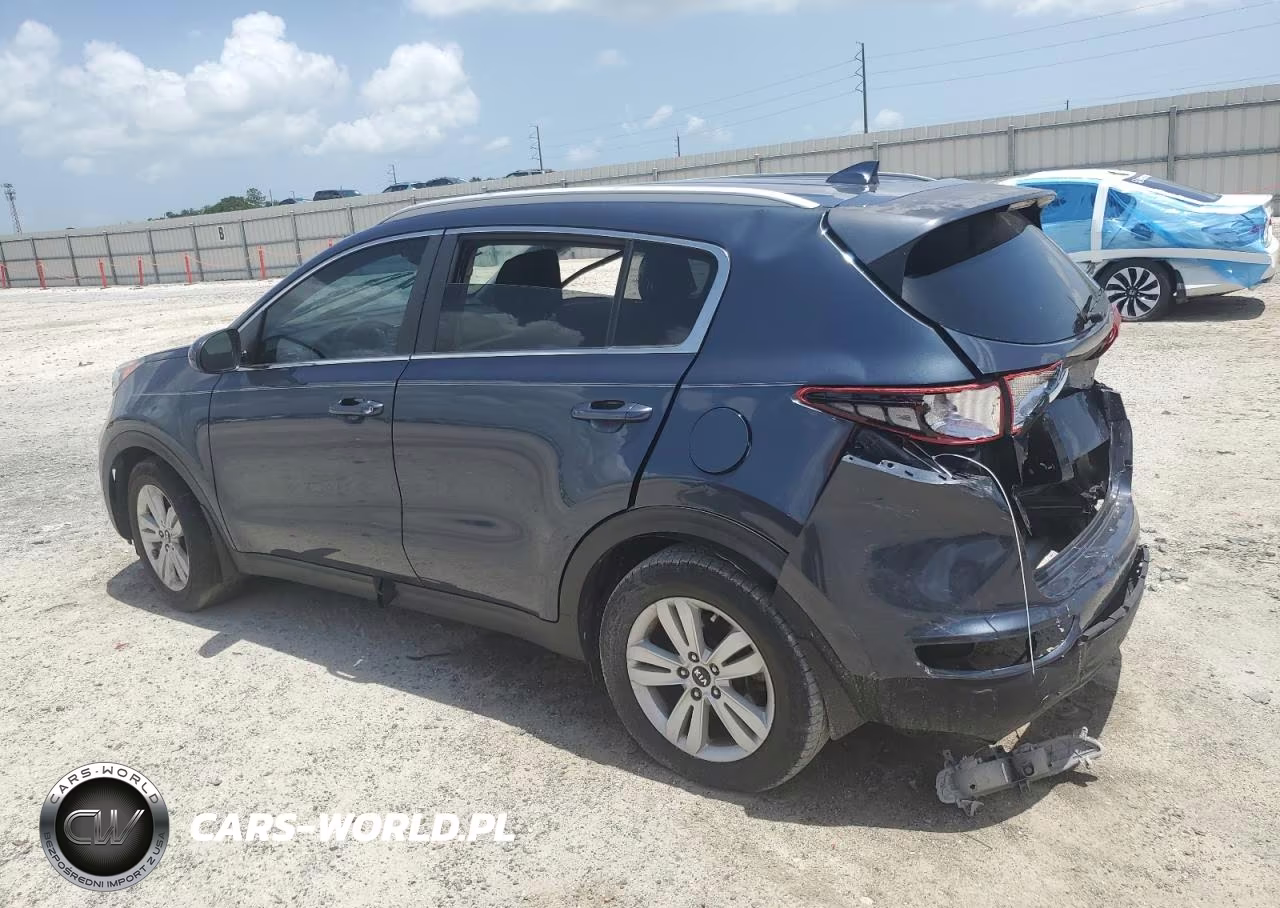 2019 Kia Sportage Lx VIN:KNDPM3AC7K7591385 - 2