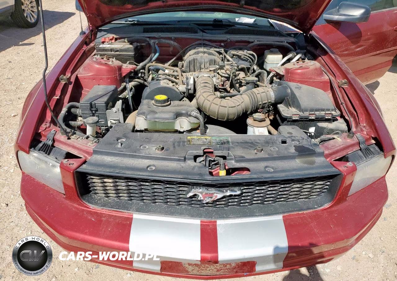 2005 Ford Mustang VIN:1ZVFT80N855154586 - 11