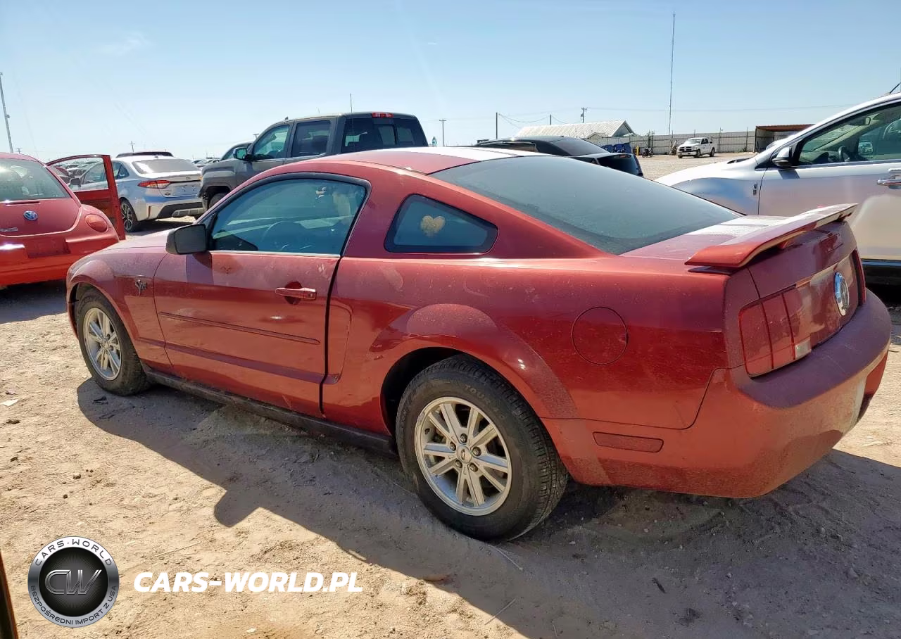 2005 Ford Mustang VIN:1ZVFT80N855154586 - 2