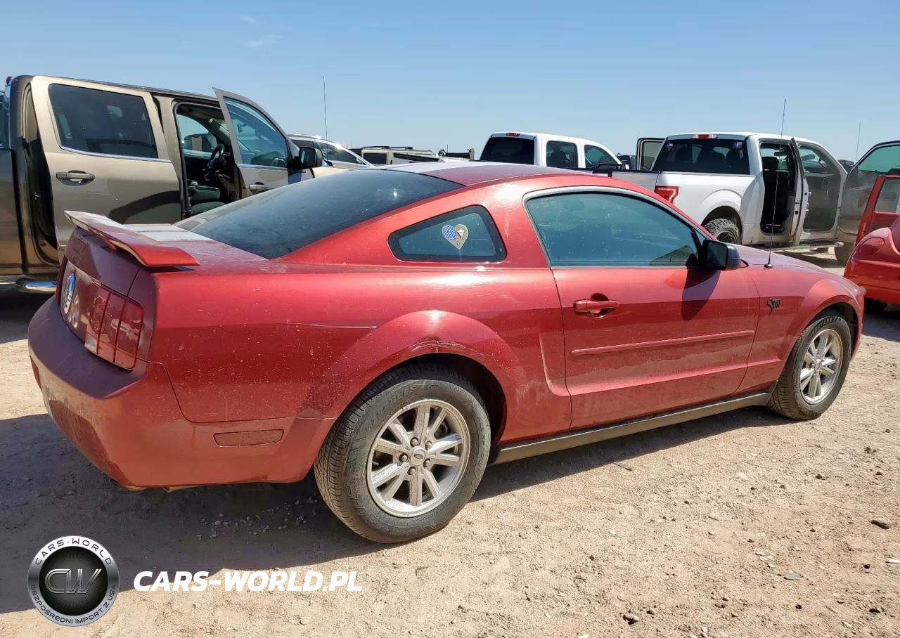2005 Ford Mustang VIN:1ZVFT80N855154586 - 3