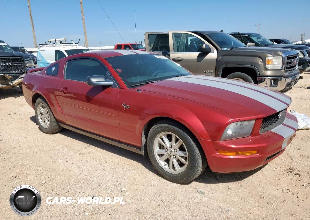 2005 Ford Mustang VIN:1ZVFT80N855154586 - 4