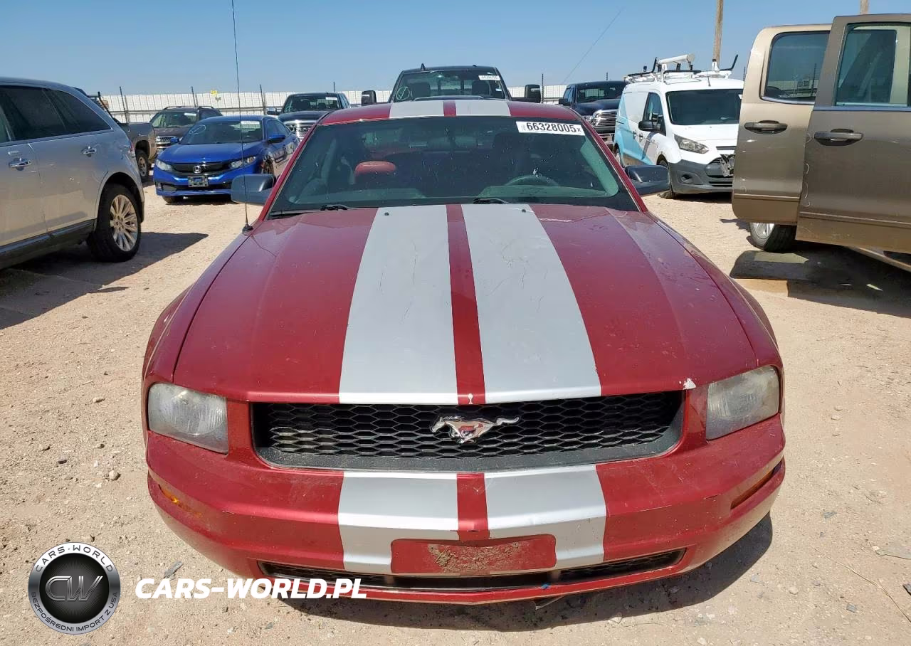 2005 Ford Mustang VIN:1ZVFT80N855154586 - 5