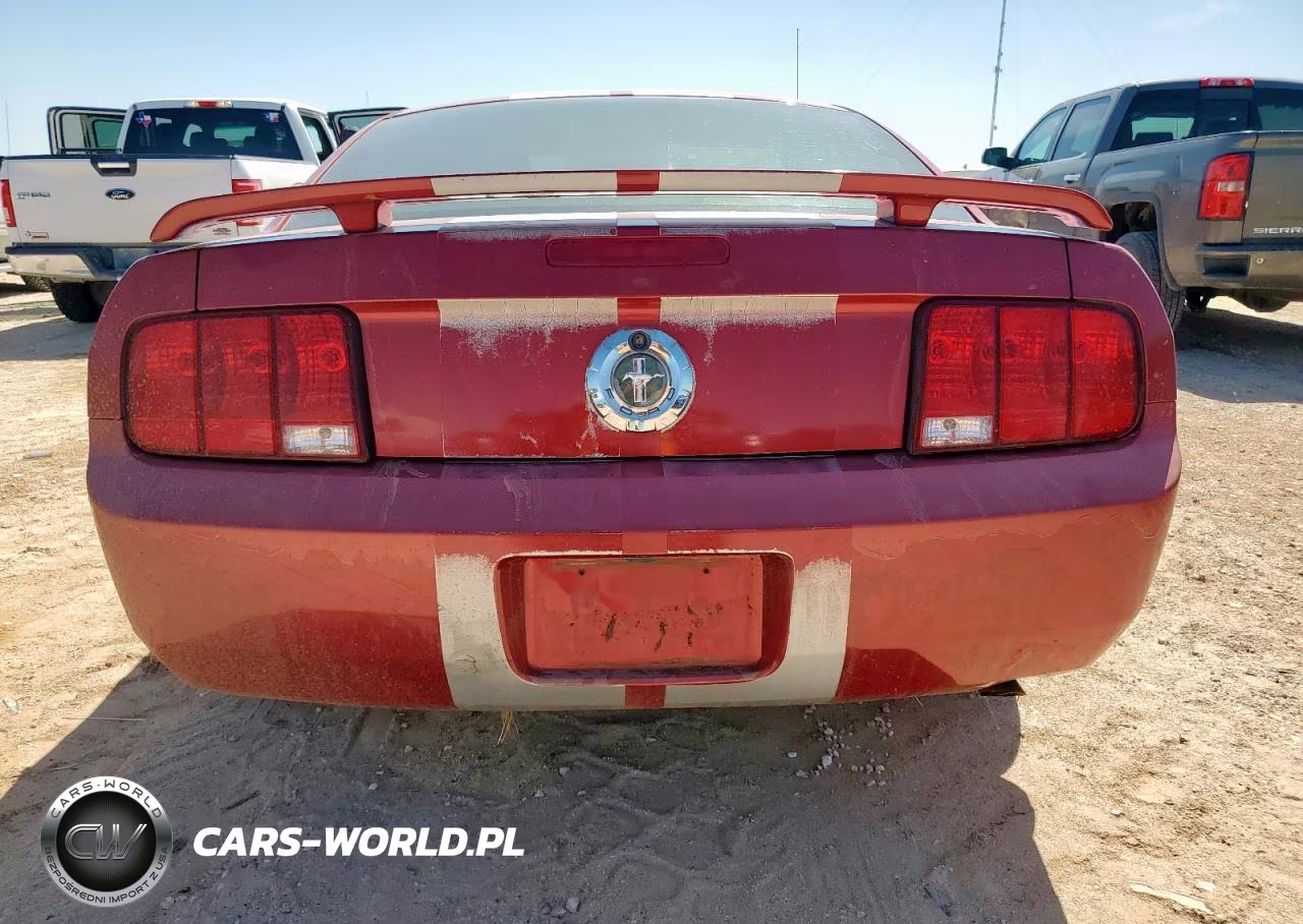 2005 Ford Mustang VIN:1ZVFT80N855154586 - 6