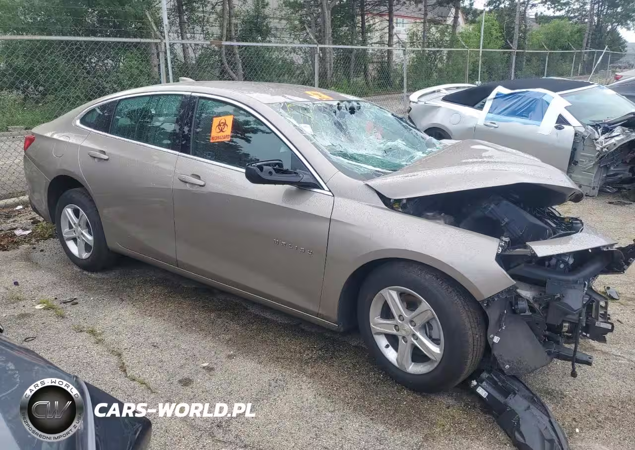 2024 Chevrolet Malibu Lt VIN:1G1ZD5ST8RF164700 - 4