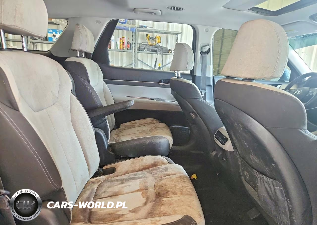 2020 Hyundai Palisade Sel VIN:KM8R24HE5LU120152 - 11