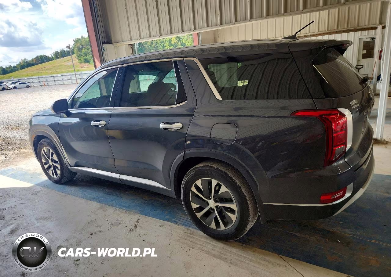 2020 Hyundai Palisade Sel VIN:KM8R24HE5LU120152 - 2