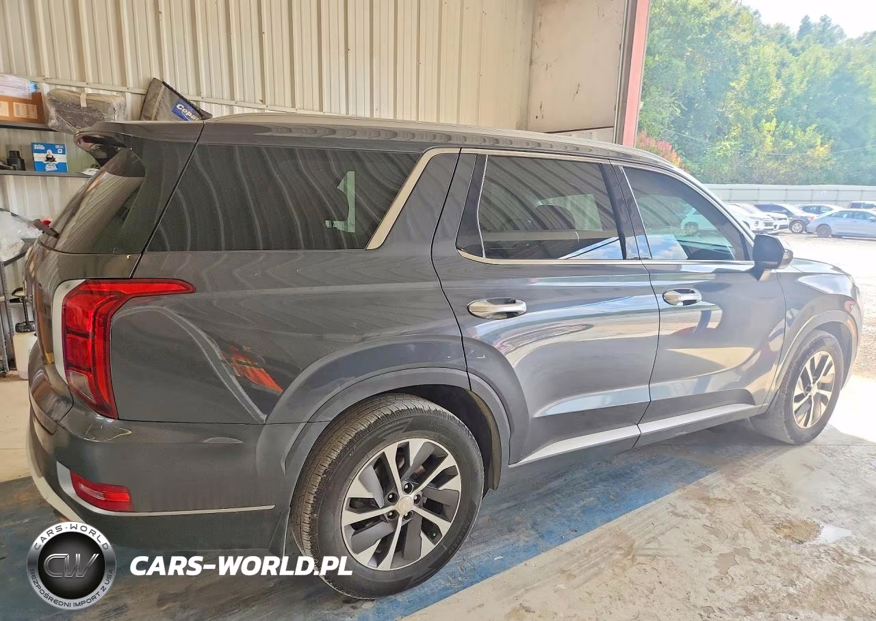 2020 Hyundai Palisade Sel VIN:KM8R24HE5LU120152 - 3
