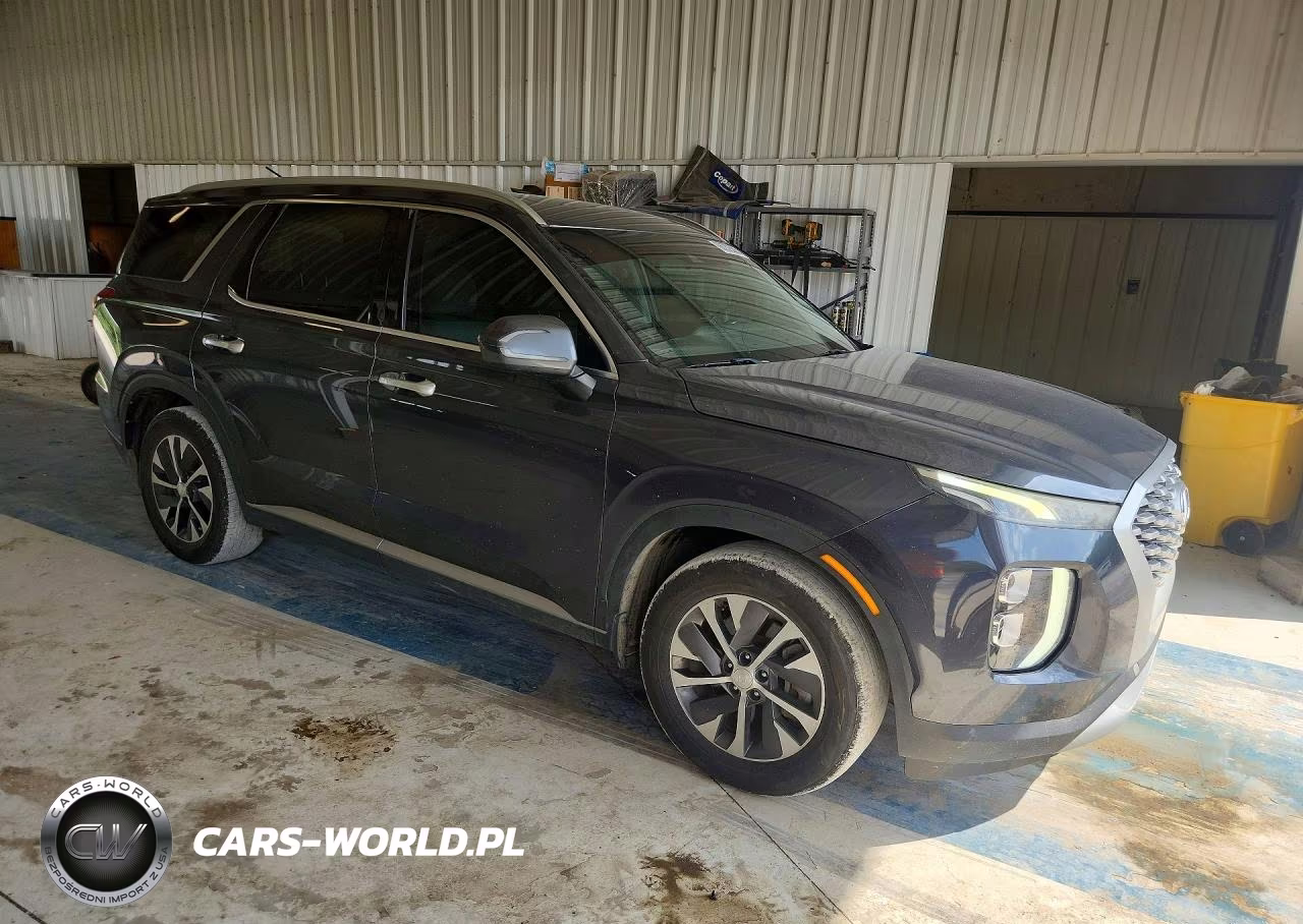 2020 Hyundai Palisade Sel VIN:KM8R24HE5LU120152 - 4