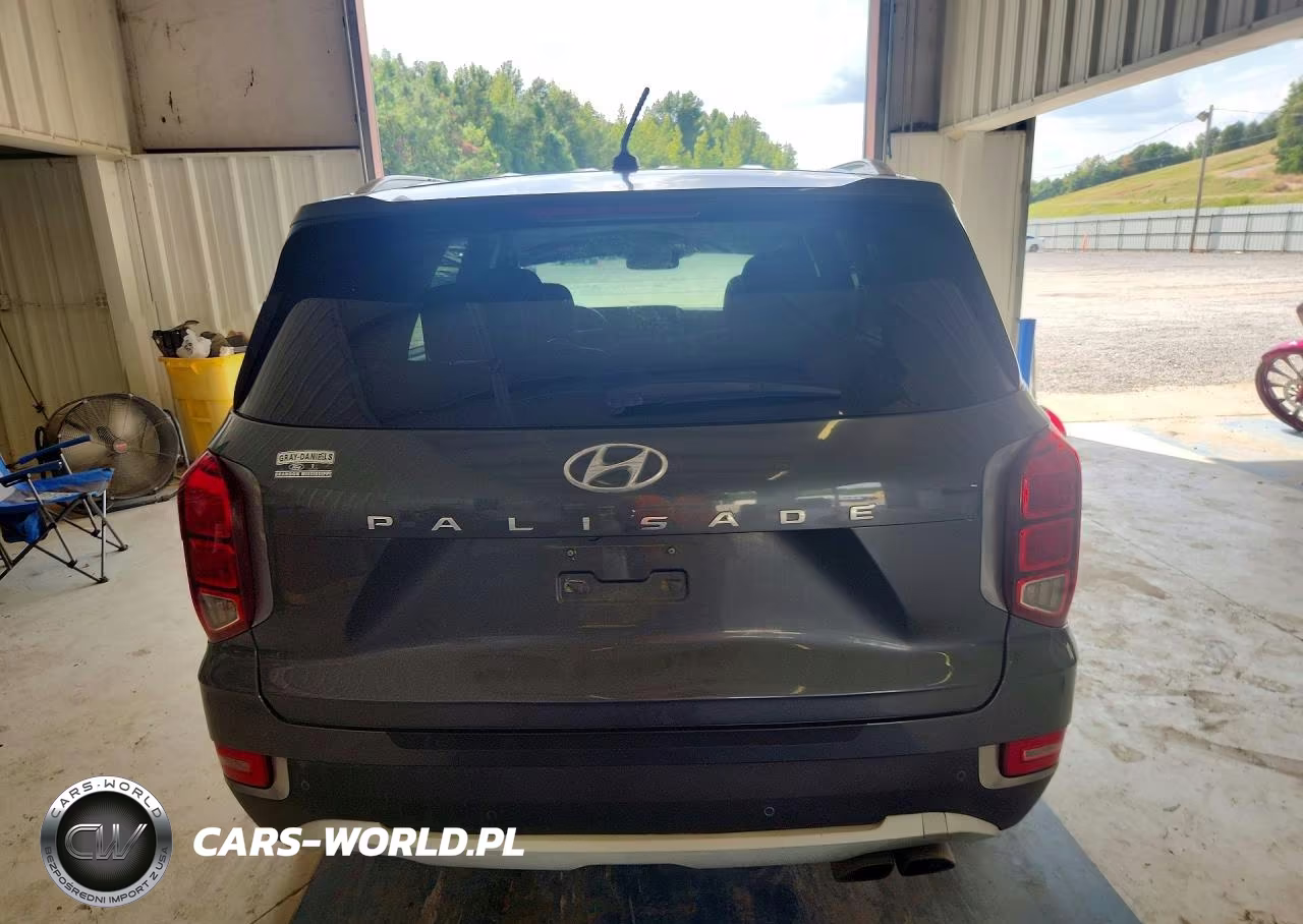 2020 Hyundai Palisade Sel VIN:KM8R24HE5LU120152 - 6