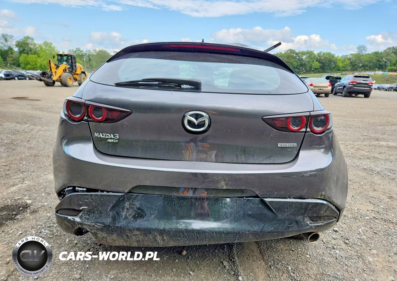 2020 Mazda 3 Preferred VIN:JM1BPBMMXL1154114 - 6