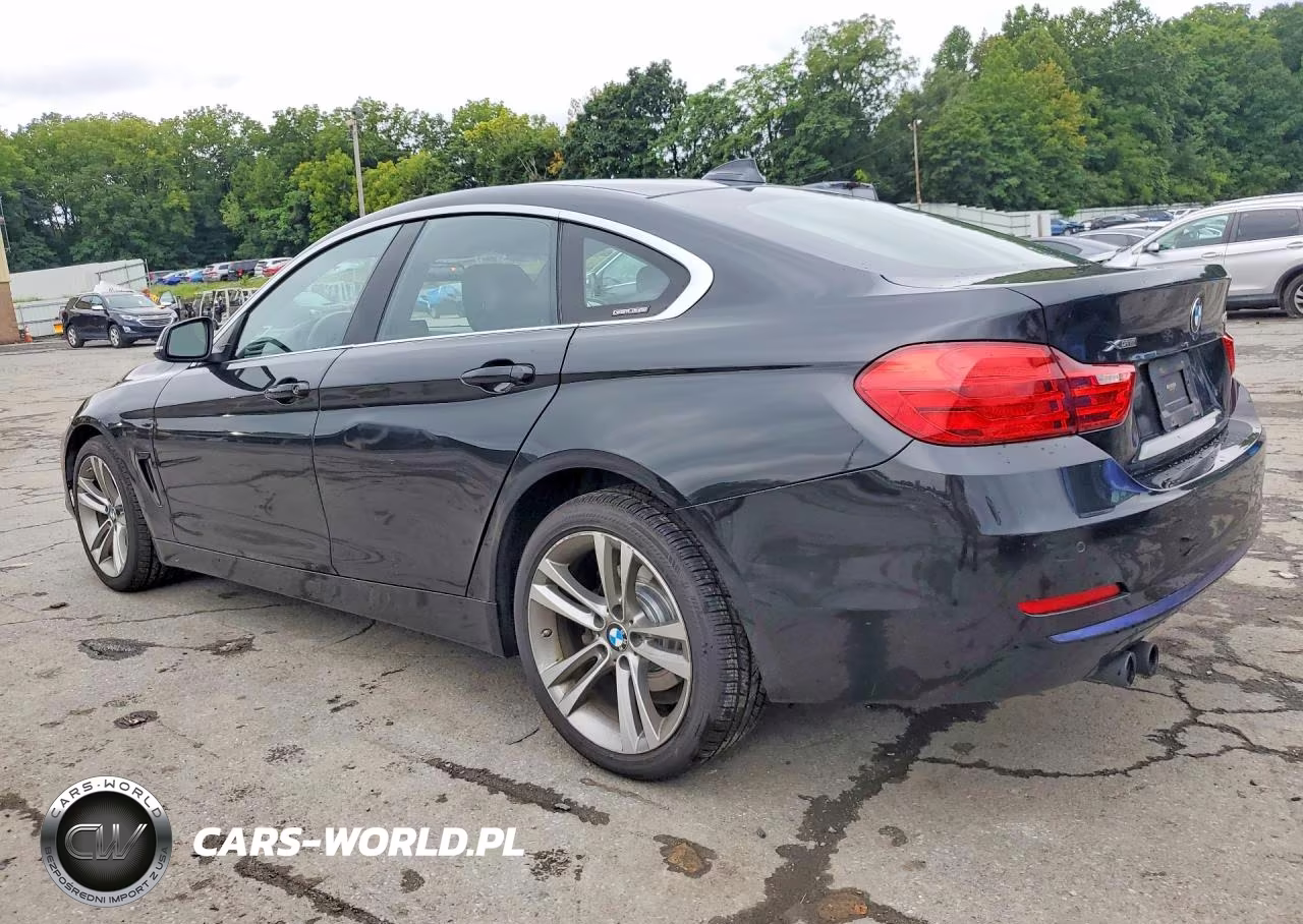 2016 BMW 428 Xi Gran Coupe Sulev VIN:WBA4C9C53GG136075 - 2