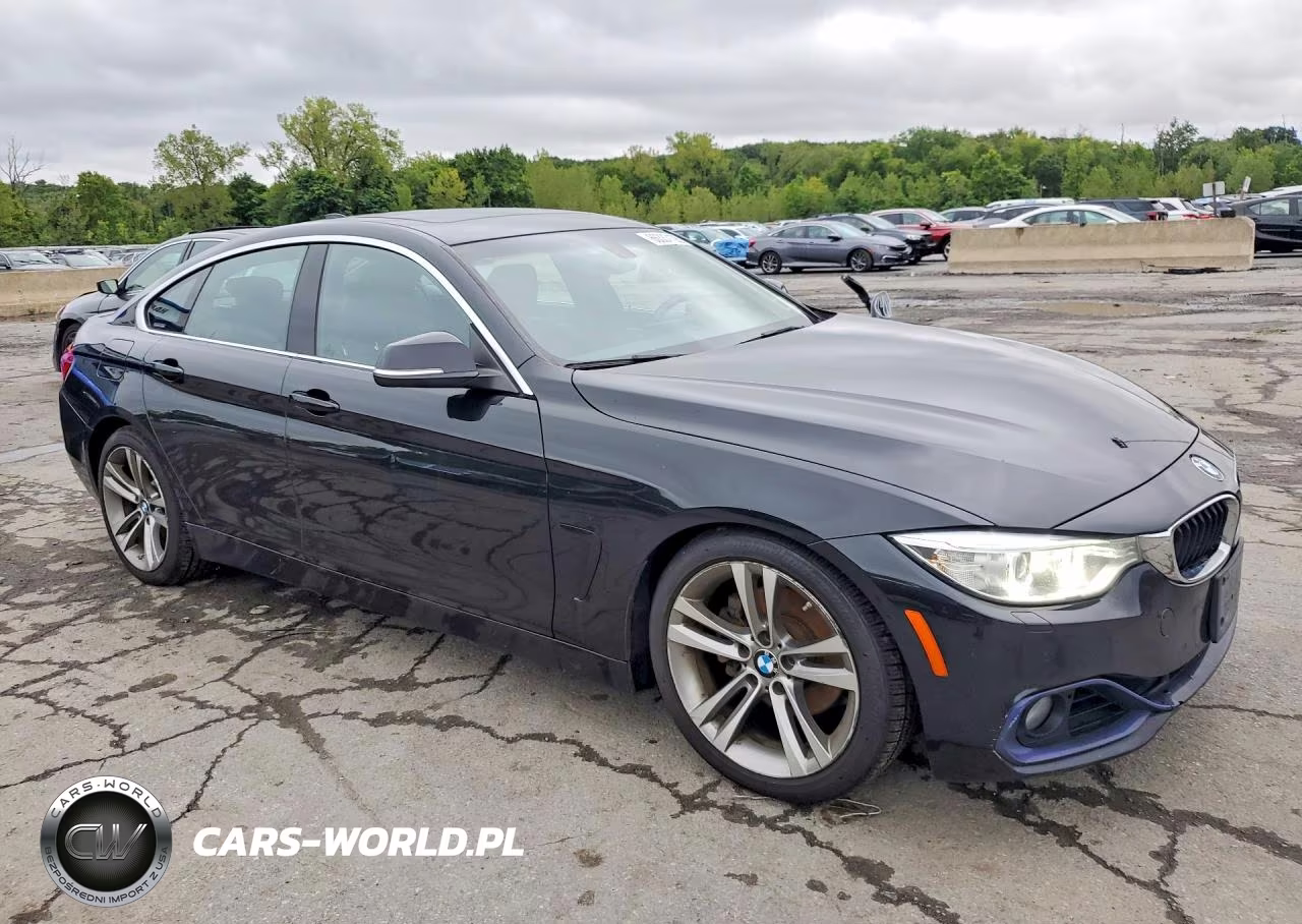 2016 BMW 428 Xi Gran Coupe Sulev VIN:WBA4C9C53GG136075 - 4
