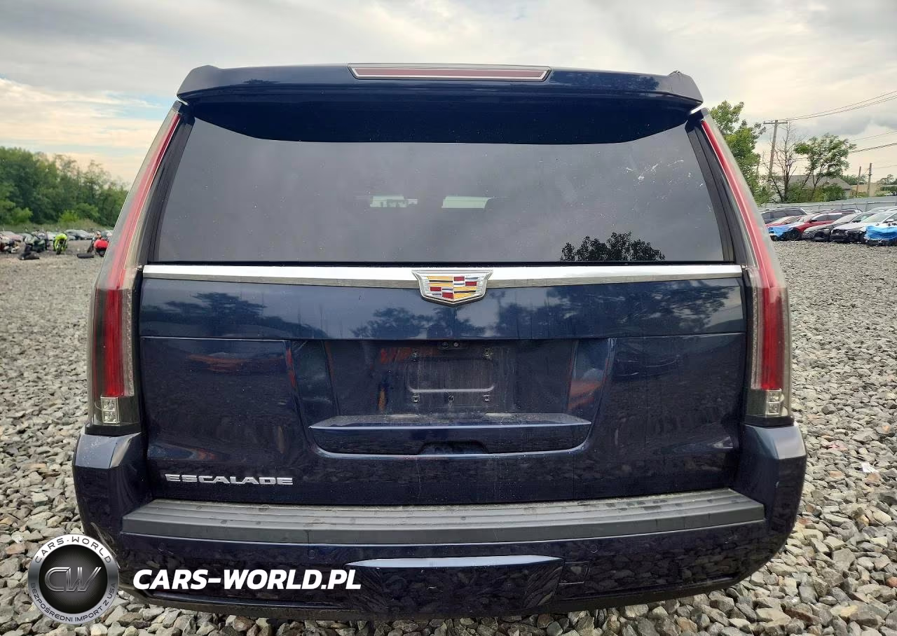 2018 Cadillac Escalade Luxury VIN:1GYS4BKJ8JR201120 - 6
