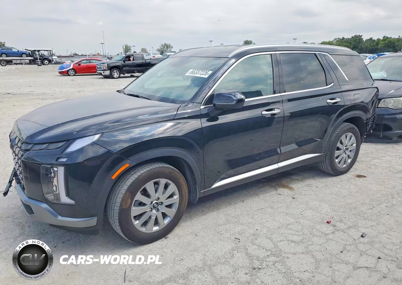2024 Hyundai Palisade Sel VIN:KM8R2DGE6RU689117 - 1