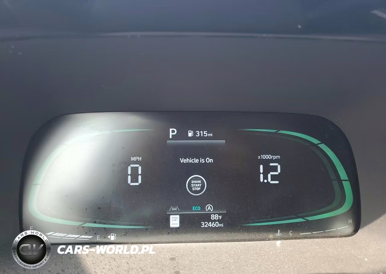 2024 Hyundai Palisade Sel VIN:KM8R2DGE6RU689117 - 9