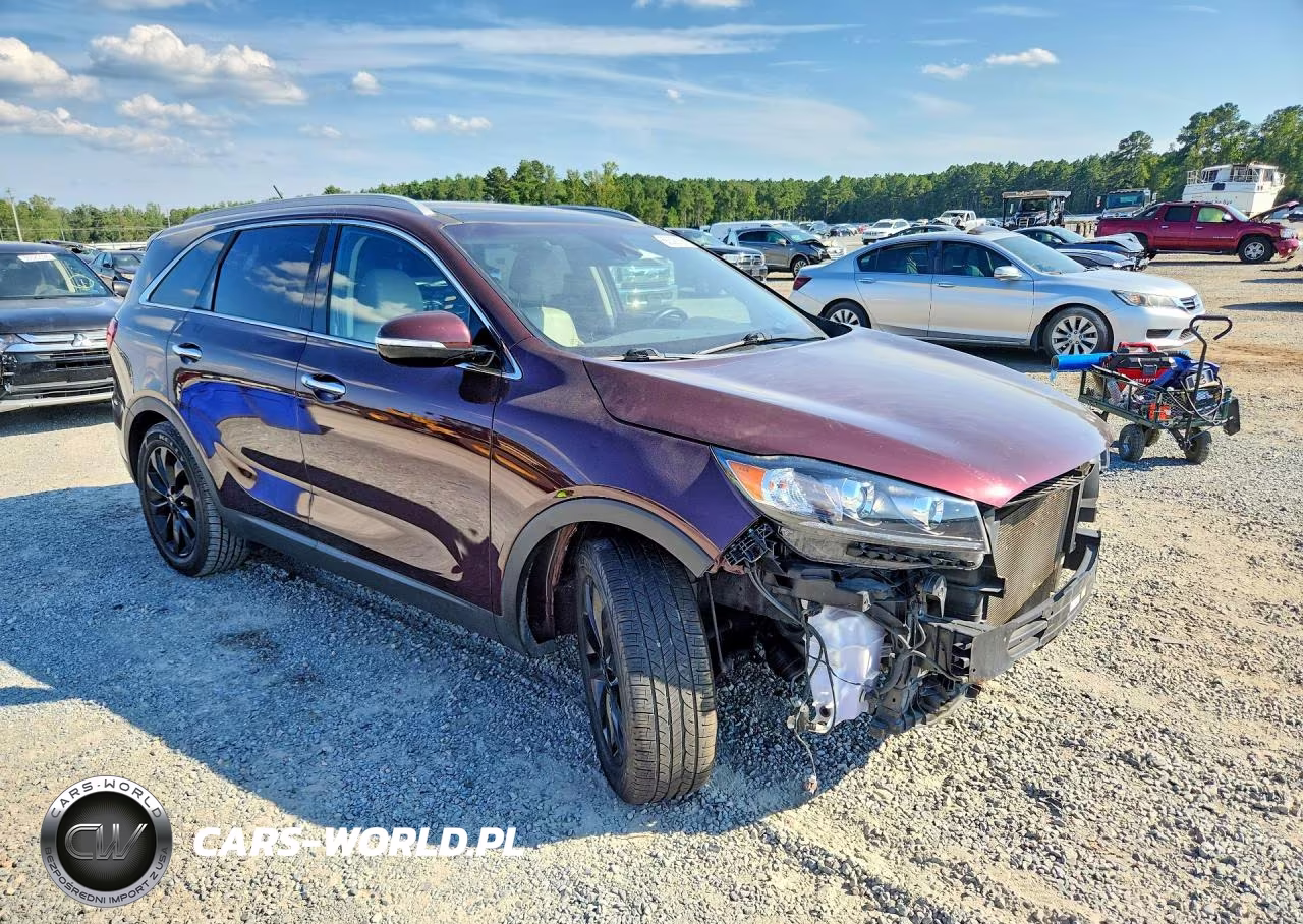 2020 Kia Sorento Ex V6 VIN:5XYPH4A59LG655779 - 4