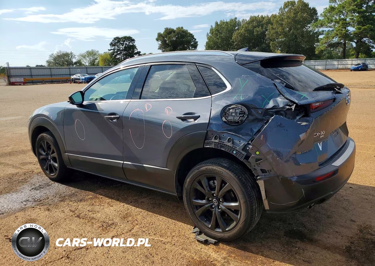 2021 Mazda Cx-30 Premium Plus VIN:3MVDMBEY8MM229026 - 2