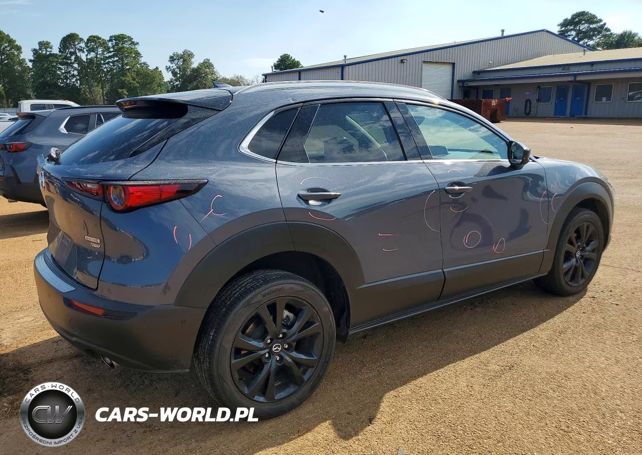 2021 Mazda Cx-30 Premium Plus VIN:3MVDMBEY8MM229026 - 3