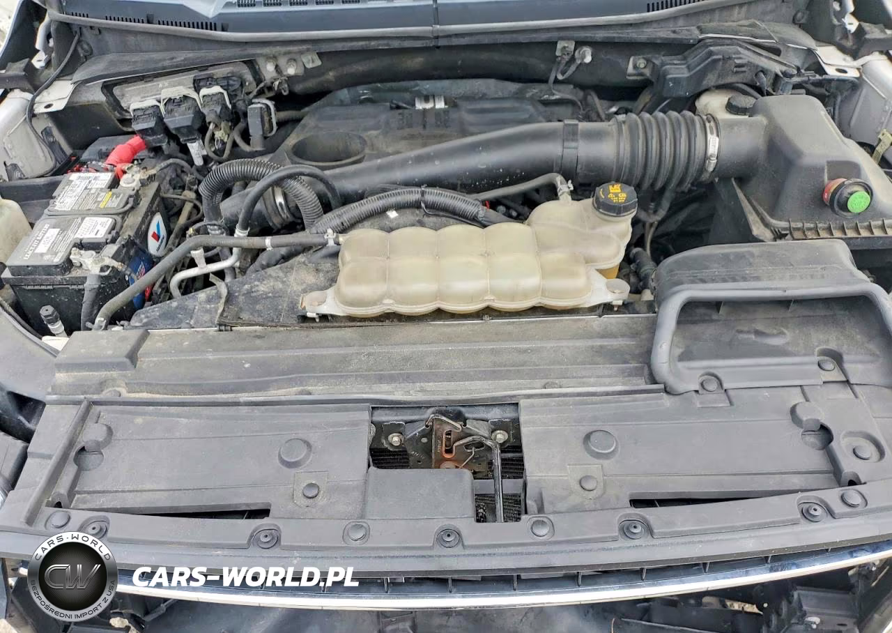 2019 Ford F150 Supercrew VIN:1FTFW1E16KFC32957 - 11
