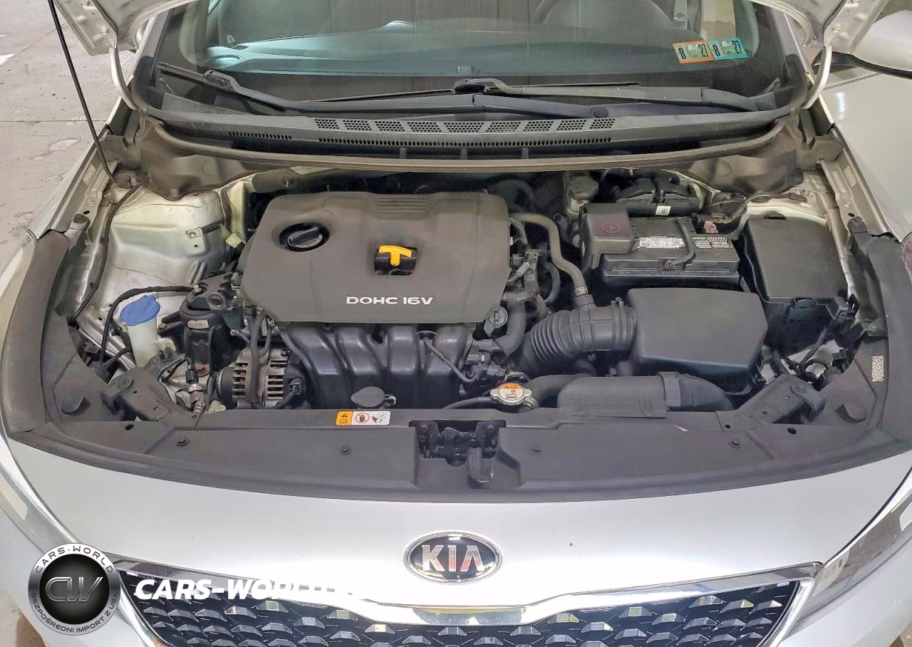 2017 Kia Forte Lx VIN:3KPFL4A7XHE063839 - 11