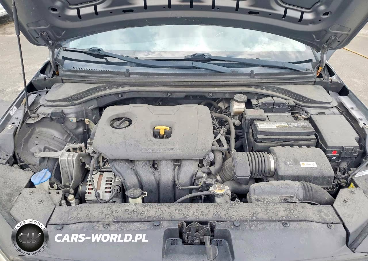 2019 Hyundai Elantra Sel VIN:KMHD84LF8KU810095 - 11