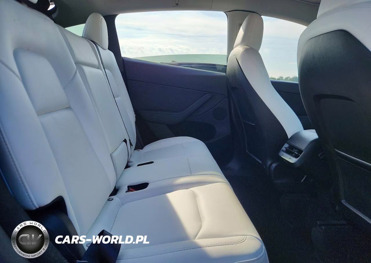 2024 Tesla Model Y VIN:7SAYGDEE2RA294252 - 10