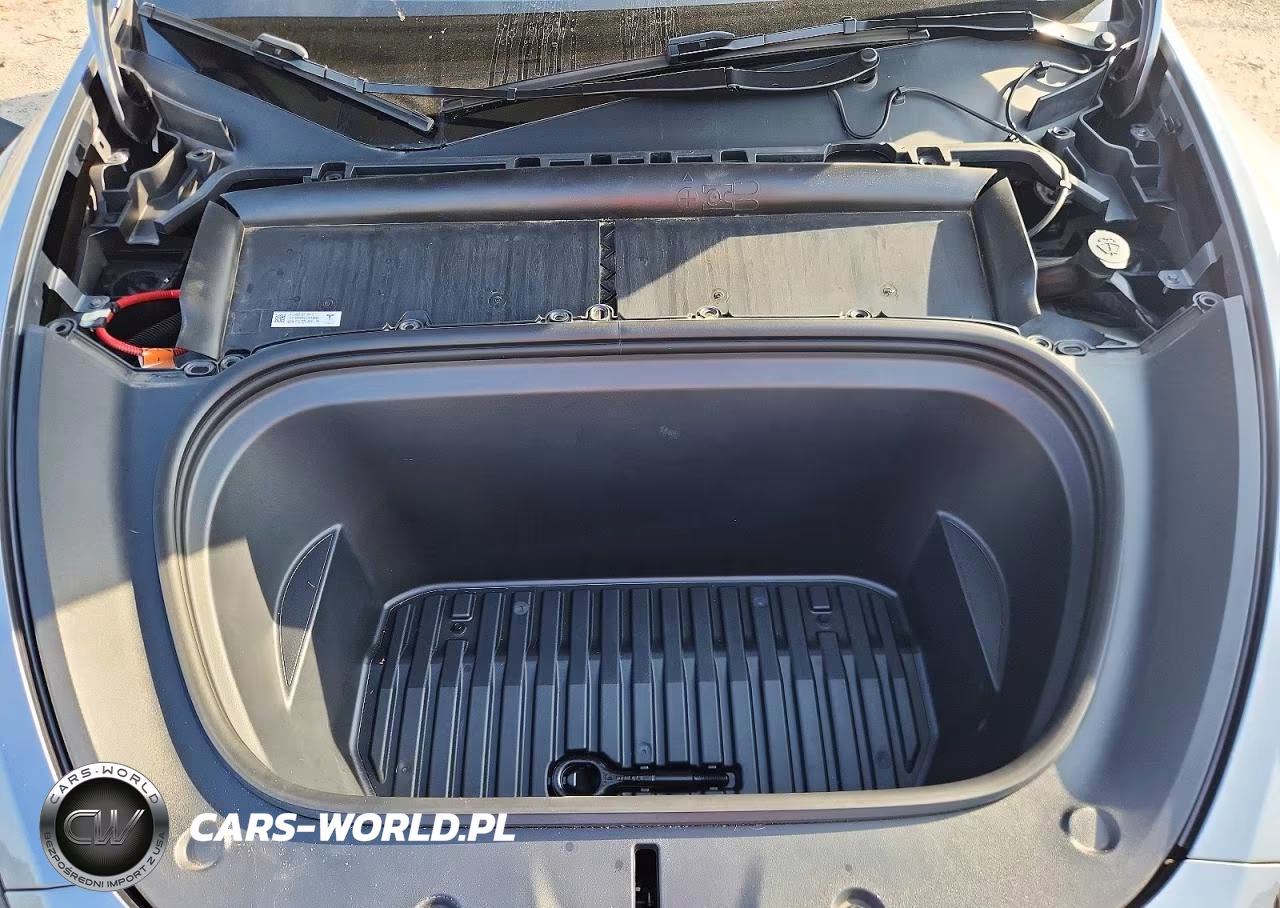 2024 Tesla Model Y VIN:7SAYGDEE2RA294252 - 11