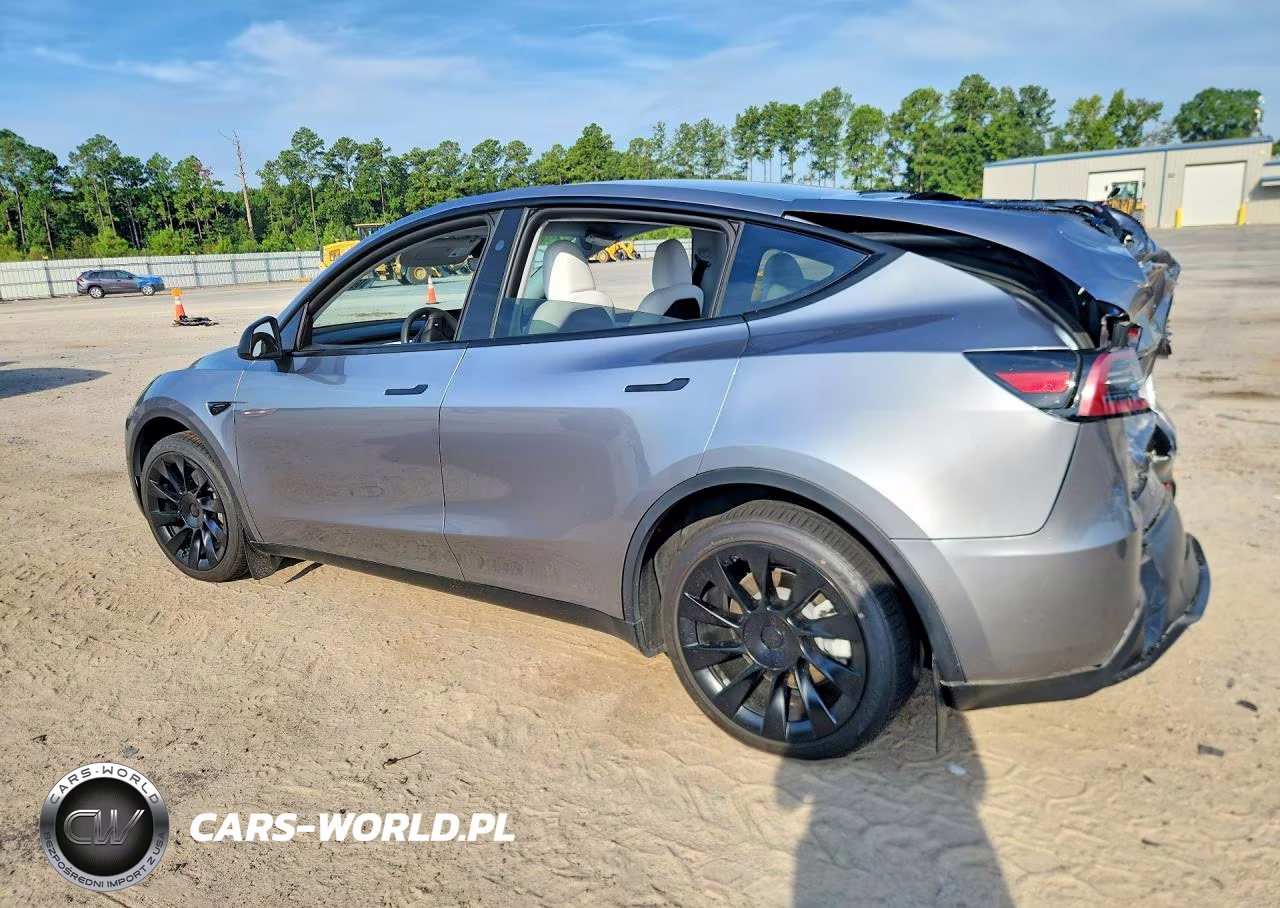 2024 Tesla Model Y VIN:7SAYGDEE2RA294252 - 2