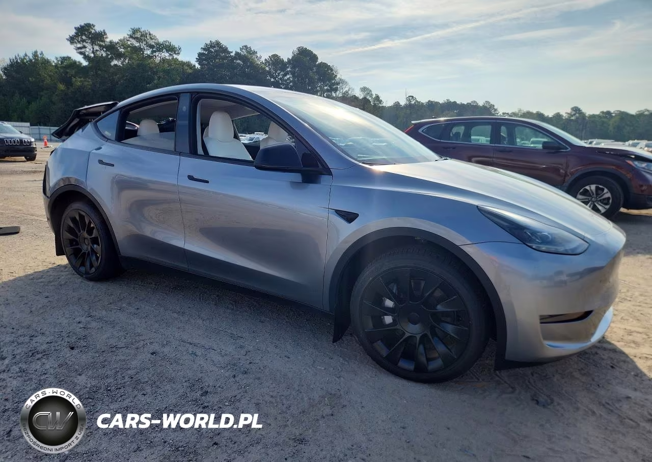 2024 Tesla Model Y VIN:7SAYGDEE2RA294252 - 4