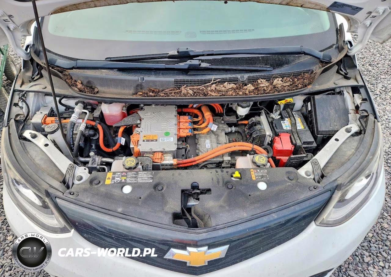 2017 Chevrolet Bolt Ev Lt VIN:1G1FW6S05H4191355 - 11